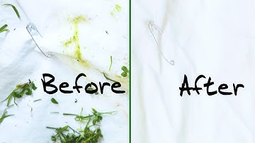 How to Get out Grass Stains