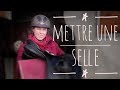  galop 1  comment seller et desseller un cheval  