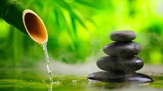 Relaxing Music, Reiki Music, Meditation, Sleep, Healing, Calm Music, Sleep Music, Study, Spa, ☯1995 screenshot 5