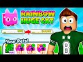 НУБ ПОЛУЧИЛ RAINBOW HUGE CAT В PET SIMULATOR В РОБЛОКС! ROBLOX