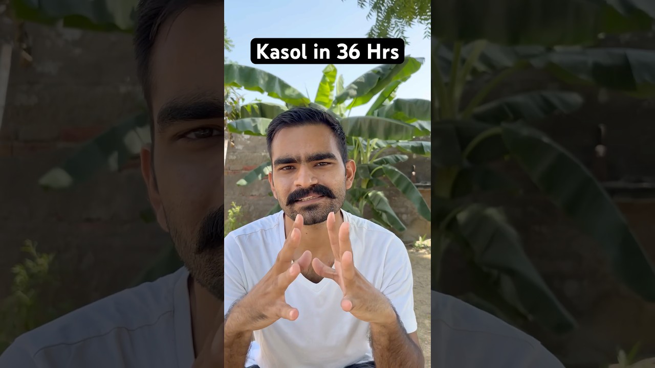 #Kasol is for three types of people #shortsindia #himachal