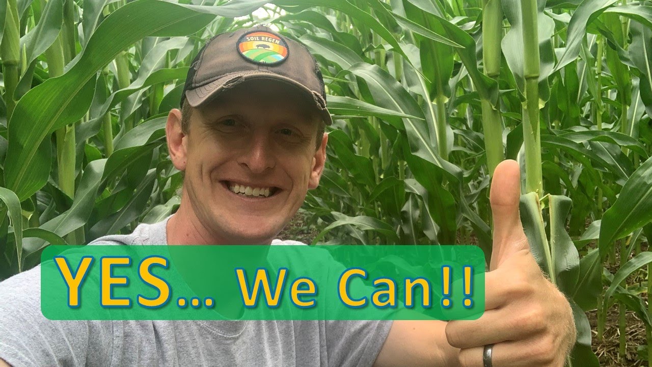 YES We Can YouTube Yes we can youtube