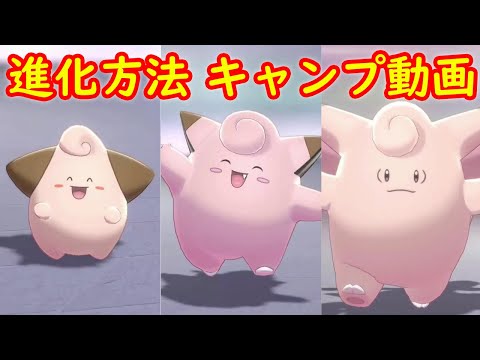 ソードシールド ピッピの種族値 わざ 特性など能力と入手方法 ポケモン剣盾 攻略大百科