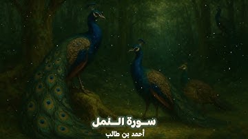 سورة النمل كاملة || أحمد بن طالب