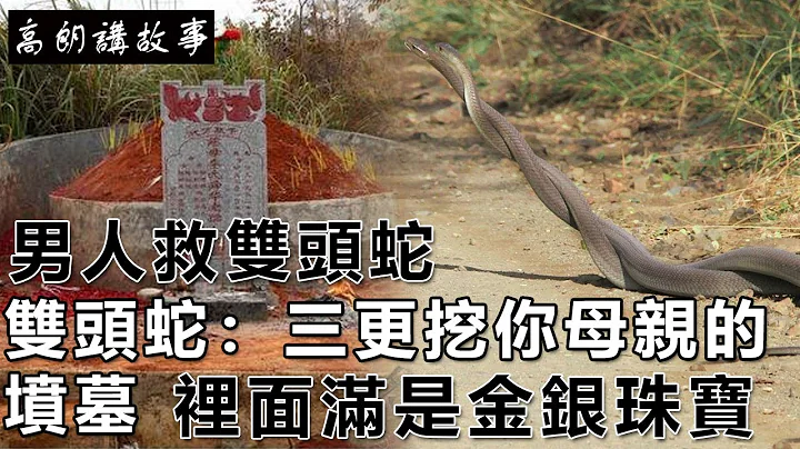民間故事：男人見雙頭蛇討飯，他立刻幫助，雙頭蛇：三更挖你母親的墳墓，裏面滿是金銀珠寶｜高朗講故事 - 天天要聞