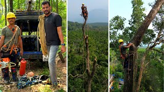 പലരും വന്ന് മുറിക്കാൻ കഴിയാത്ത കൂറ്റൻ മരം മുറിക്കാൻ പോയപ്പോൾ സംഭവിച്ചത് 😱 How To Cut Down A Tree ..