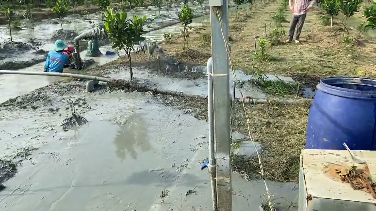 Bơm Bùn Vườn Mít Tại Kế Sách Hậu Giang