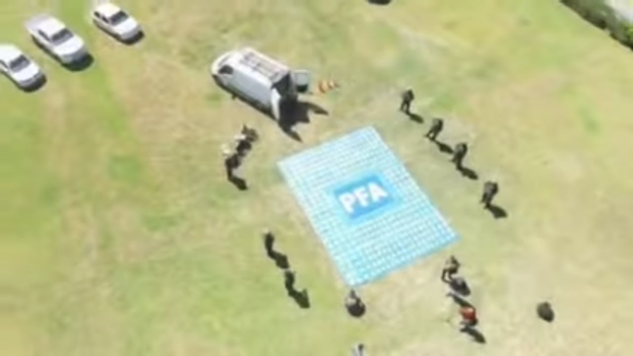 Así trabajan los integrantes de la Superintendencia de Drogas Peligrosas de la PFA