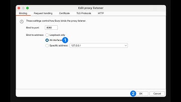 Corelllium Burp Suite Configuration for Android Devices