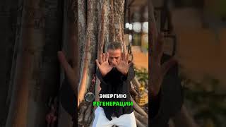 Регенерация клеток печени: движение, жизнь!