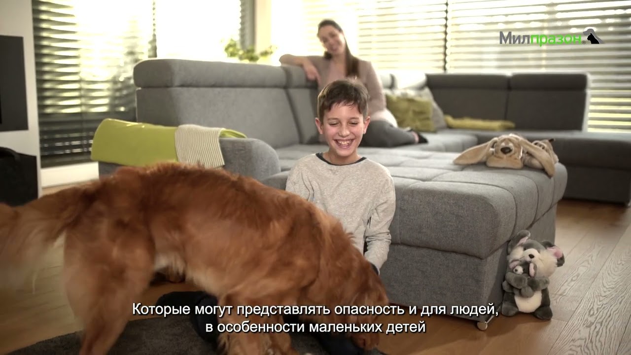 Милпразон® – для защиты от широкого спектра гельминтов!