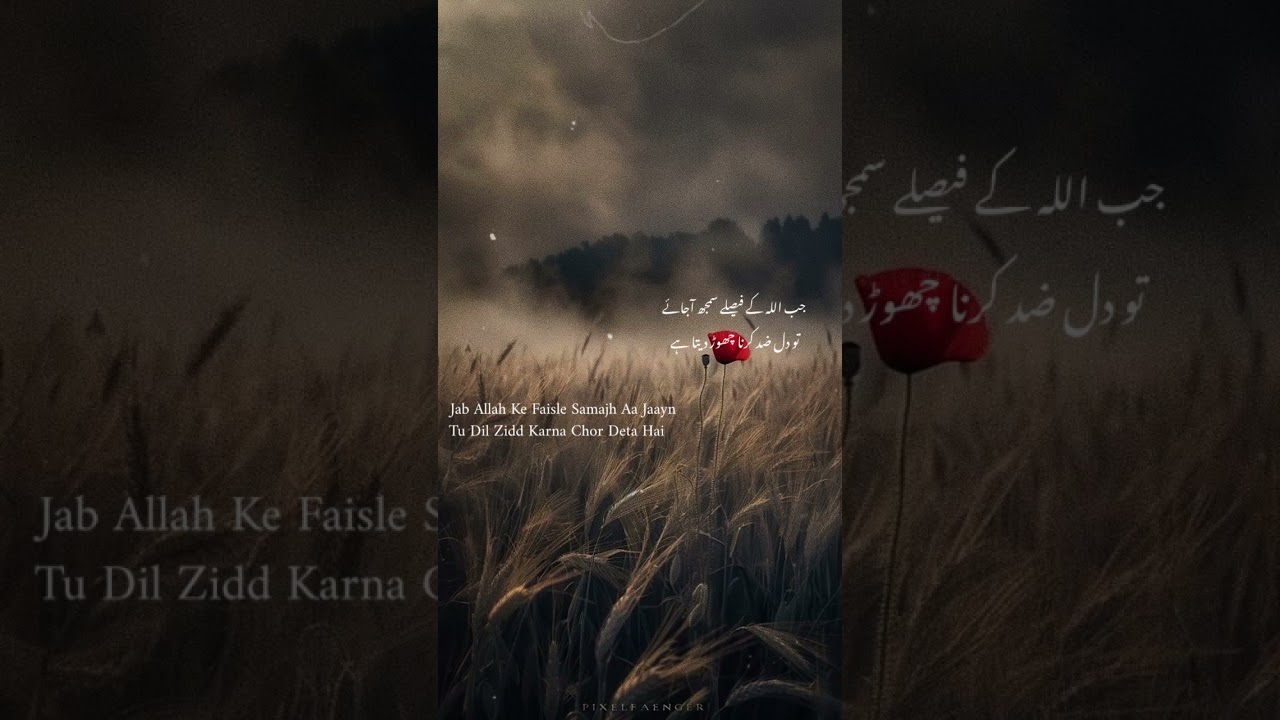 Allah kay Faisly || Good Word