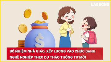 Bổ nhiệm nhà giáo, xếp lương vào chức danh nghề nghiệp theo dự thảo Thông tư mới | Báo Lao Động