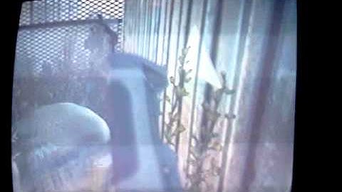 Mw3 Out of Dome using Recon Drone and Care Pacs