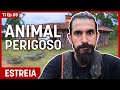 O ANIMAL APARECEU NO GALPÃO, ELA TINHA RAZÃO - COMEÇANDO SÍTIO DO ZERO T01 Ep.05