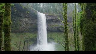 12 Sec Short Relax Music Video - Stress Relief,  Sleep, Study, Meditation, Nature Beauty!! screenshot 3