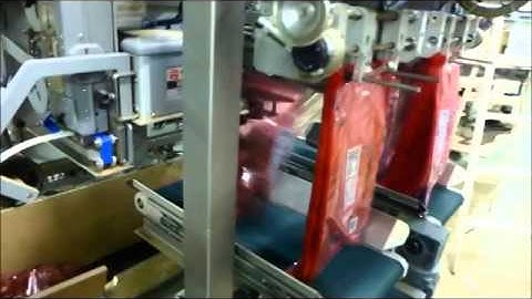 14 Scale weighing machine with wicket bagger from ThorPack