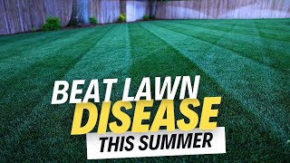 My Lawn Is TRASHED!  How To Prevent Summer Brown Spots