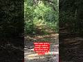 Hiker walks up to strange creature hunting a rabbit in the woods and is chased away on camera