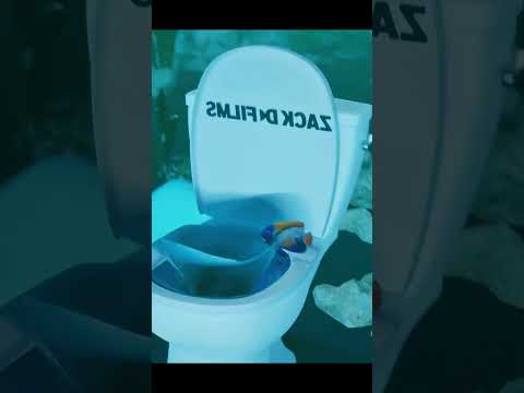 Что если… смыть океан?