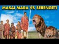 Comparing the worlds best safari hotels masai mara vs serengeti