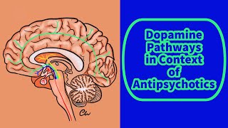 Dopamine Pathways In Context Of Antipsychotics