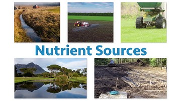 Algae Corner: Growth Factors & Seasonality