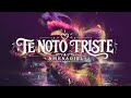TE NOTO TRISTE - AMENADIEL