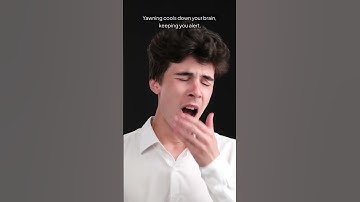 Why Do We Yawn? The Science Behind Yawning.