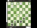Queen Blundered 34 Moves #chess #maxchess790 #strategymind