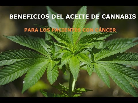 Vídeo: Aceite De Olibanum: Beneficios, Efectos Secundarios, Usos, Cáncer Y Más