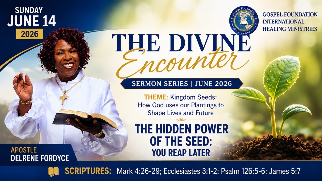 The Hidden Power of the Seed — You Reap Later | The Divine Encounter