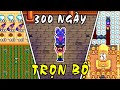 Trn b 300 ngy trong stardew valley hon ho 100