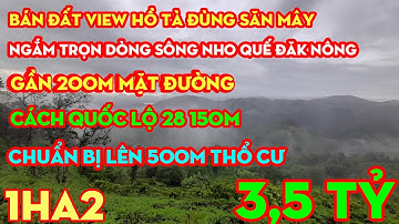 Bán 1ha2 Đất View Hồ Tà Đùng Săn Mây,Hơn 100M Mặt Đường,Cách QL28 150M,Tiện KD HOMESTAY,Giá 3,5 TỶ