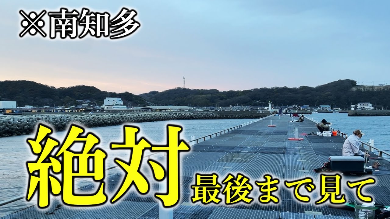 【最後まで】南知多で鯵が釣れる場所…※後半は作業です。