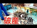 イチかバチかあの高級食材を狙ってみると破産します
