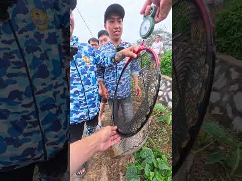 Hồ câu bán tự nhiên 40 tấn cá? - TP, Hưng Yên