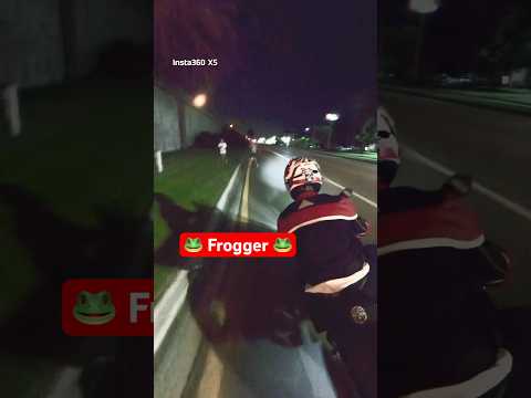 Florida man vs sport bike ..almost #florida #bikelife #gsxr #floridaman #sportbike #rider #crazy