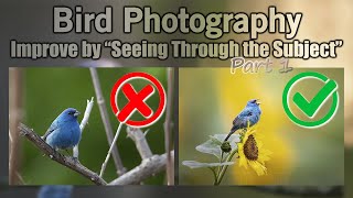 Improve Bird Photography by Seeing Through the Subject