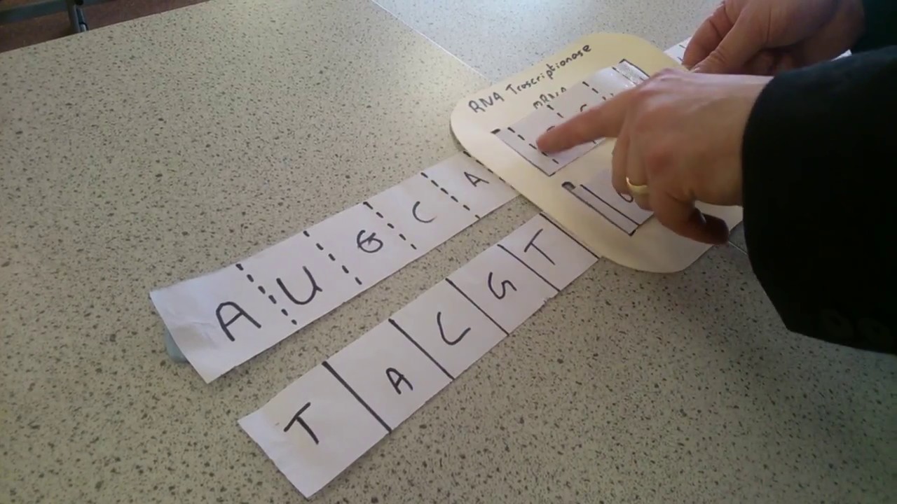 mRNA production camera iphone 8 plus apk