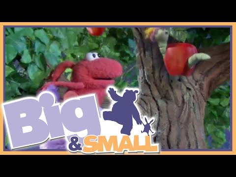 Big and Small - episodio 28 - La mia amica lucciola