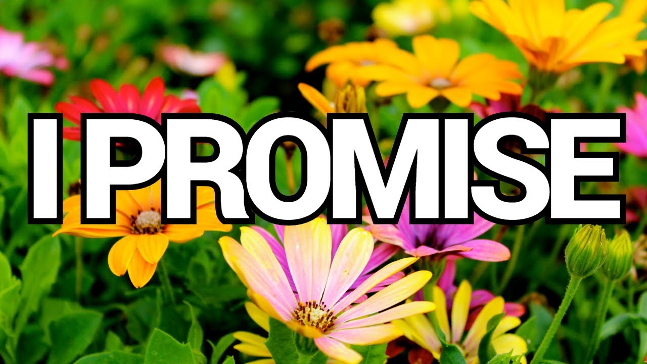 I promise I will never let you go/love promise/love message/Pernia quotes