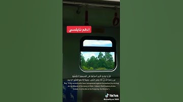 { قل يا عبادي الذين أسرفوا على أنفسهم لا تقنطوا من رحمة الله } تلاوة خاشعة للقارئ | أدهم نابلسي