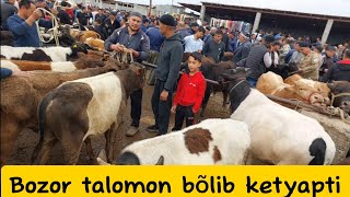 Beshariq mol bozori boqma va yosh buqalar narhlari bilan tanishing 5.05.2024yiil