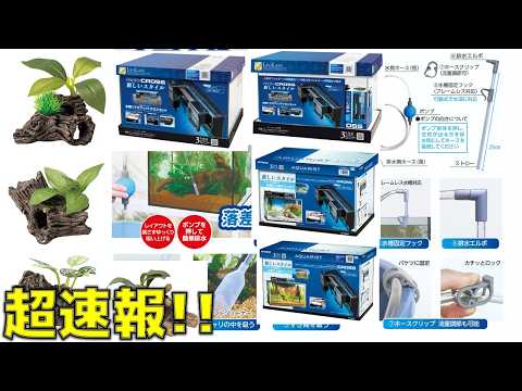 速報】コトブキが時間差をつけて新商品を追加したので、ああだこうだ