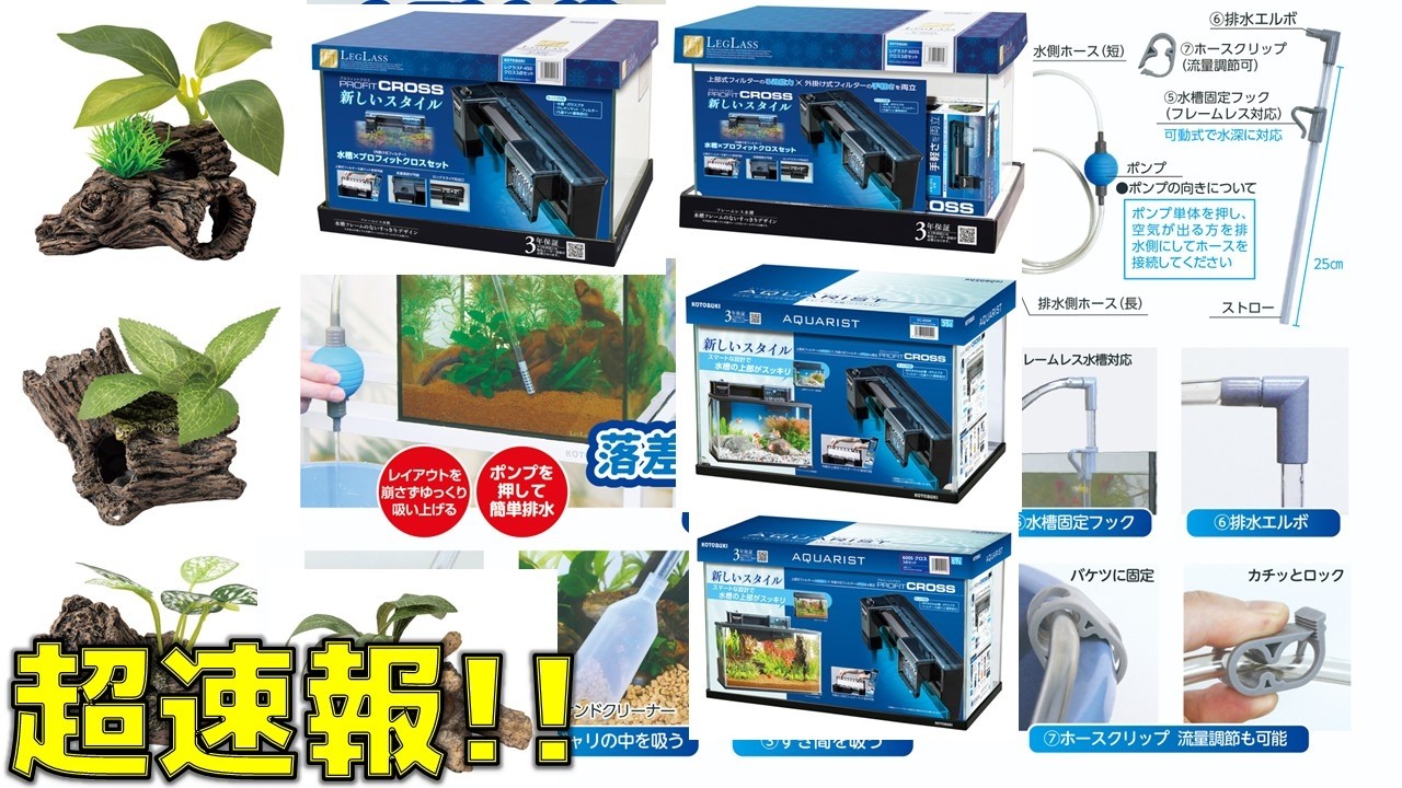 速報】コトブキが時間差をつけて新商品を追加したので、ああだこうだ