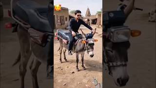 #timelapse Star to finish alone build log cabin[wooden house] how to build wooden cabin surviva