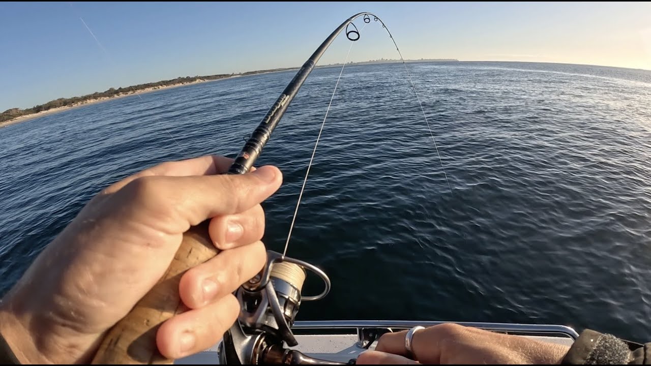 The shot that KILLED MY GOPRO! Light inshore reef fishing for Snapper and Pelagic's