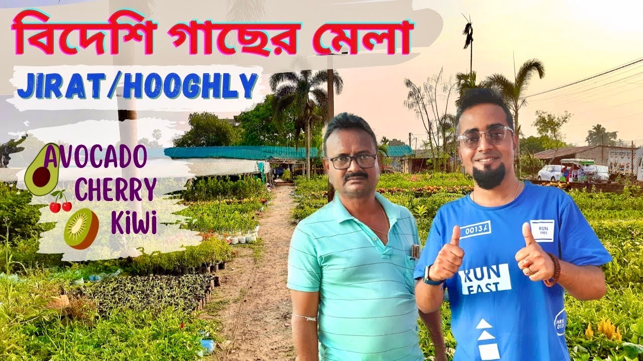জিরাট নার্সারী পাড়াতে এত বিদেশি গাছ আগে দেখিনি | Avocado🥑Kiwi🥝Cherry🍒 কি নেই এখানে | Must Visit🌳