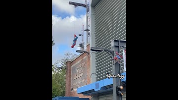 Spider-Man show #spiderman #marvel #avengerscampus #dca #disneyworld #disneyland #disneyparks #fyp